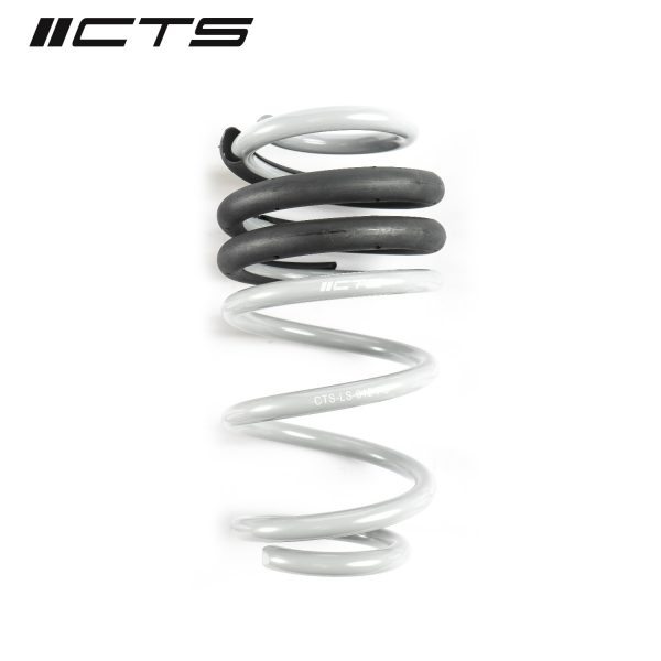 CTS Turbo B8/B8.5 Audi A4/S4 Lowering Spring Set - Image 2