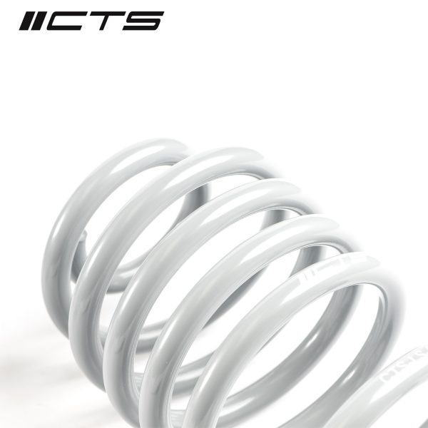 CTS Turbo B8/B8.5 Audi A4/S4 Lowering Spring Set - Image 3