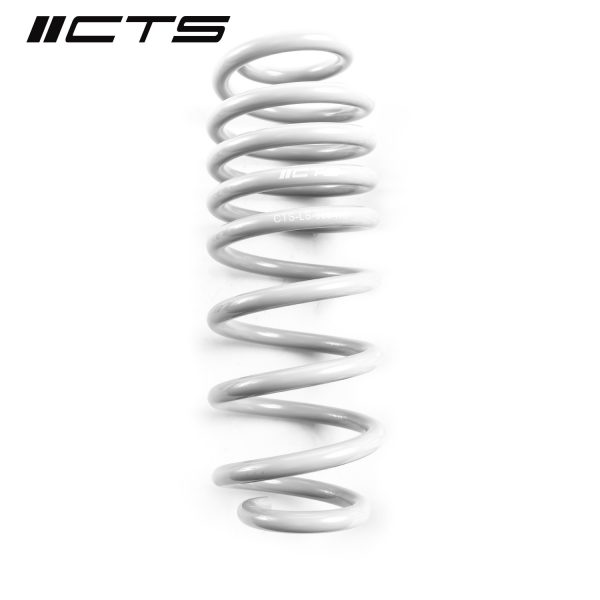 CTS Turbo VW MK7 Jetta GLI Lowering Springs - Image 4